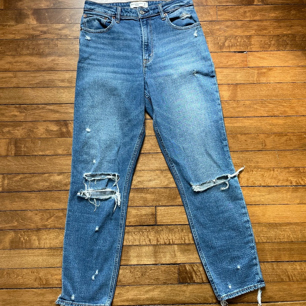 Abercrombie & Fitch Curve Love High Rise Mom Jean